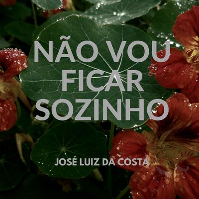 Não Vou Ficar Sozinho By Jose Luiz da Costa's cover