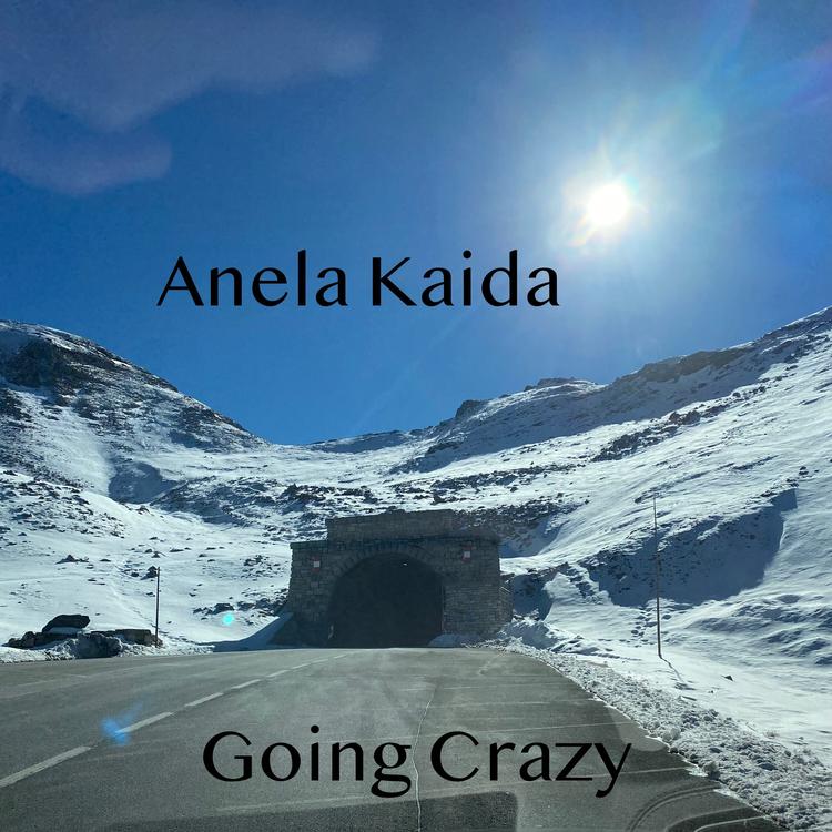 Anela Kaida's avatar image