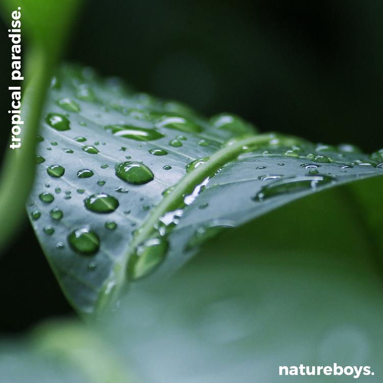 Natureboys's avatar image