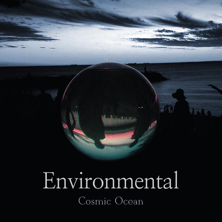Environmental's avatar image