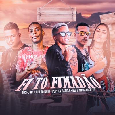 Eu To Fumadão (Remix)'s cover