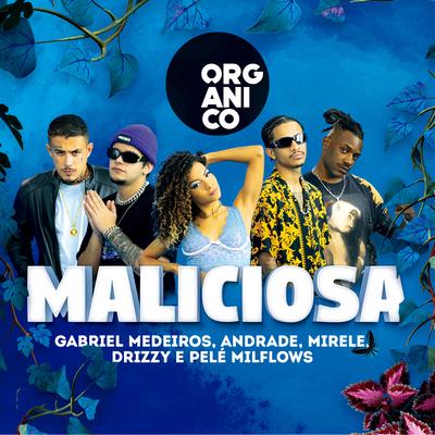 Maliciosa By Orgânico, Andrade, Pelé MilFlows, Léo Casa 1, Drizzy, Gabriel Medeiros, Mirele's cover