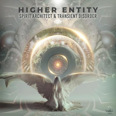 Higher Entity By Spirit Architect, Transient Disorder's cover