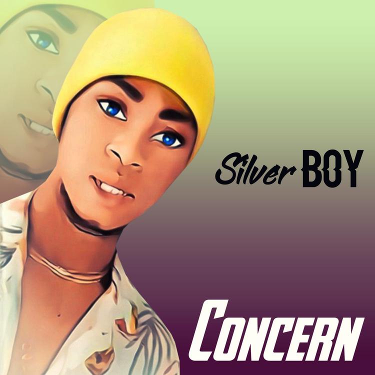 Silver Boy's avatar image