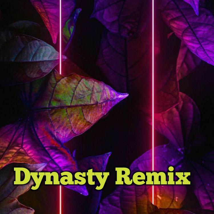 Dynasty REMIX's avatar image