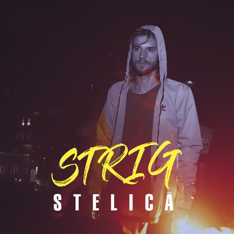 Stelica's avatar image