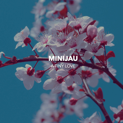 A Tiny Love (From "Sword Art Online") (Instrumental) By Minijau's cover