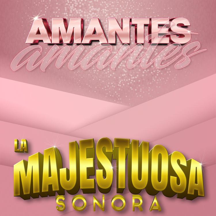 La Majestuosa Sonora's avatar image