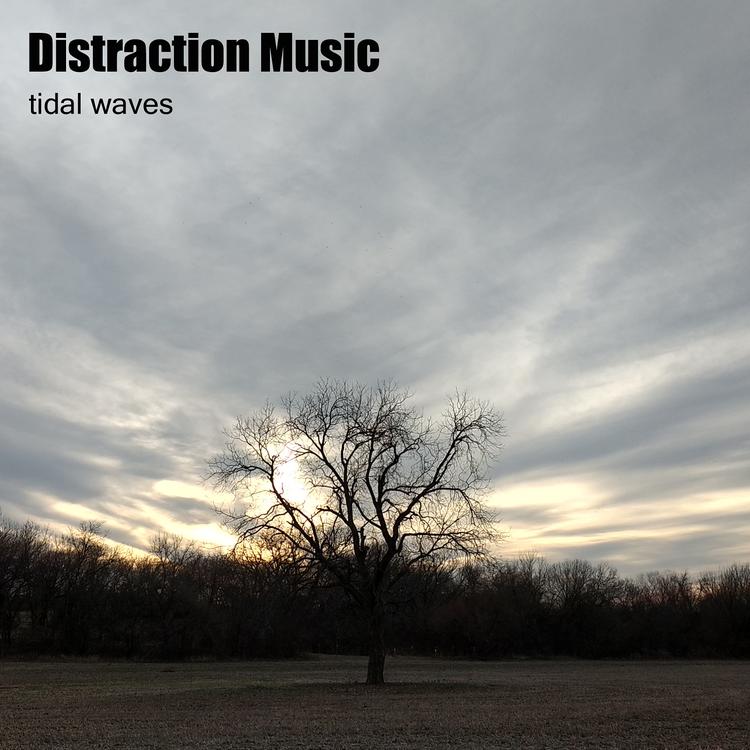 Distraction music's avatar image