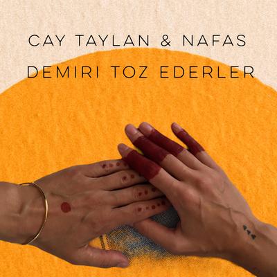 Demiri Toz Ederler's cover