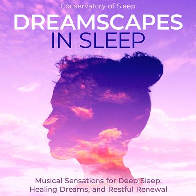 Adventures in Relaxation By Conservatory of Sleep's cover