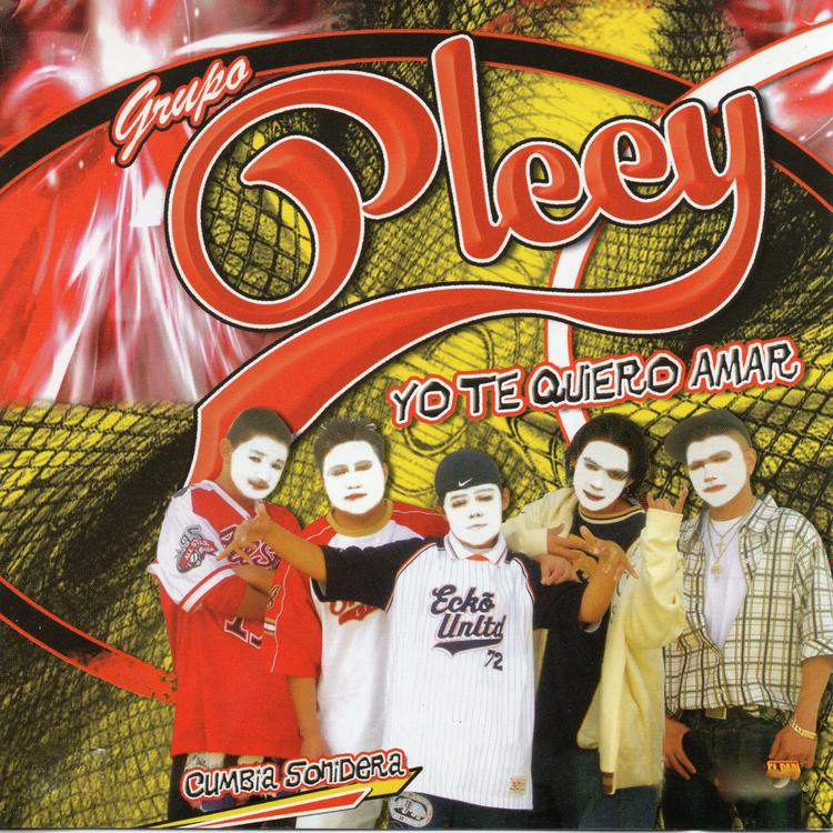 Grupo Pleey's avatar image