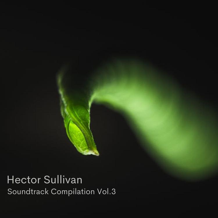 Hector Salivan's avatar image