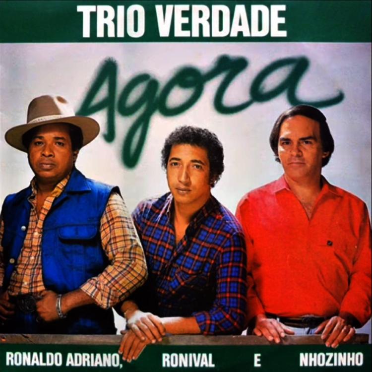 Trio Verdade's avatar image