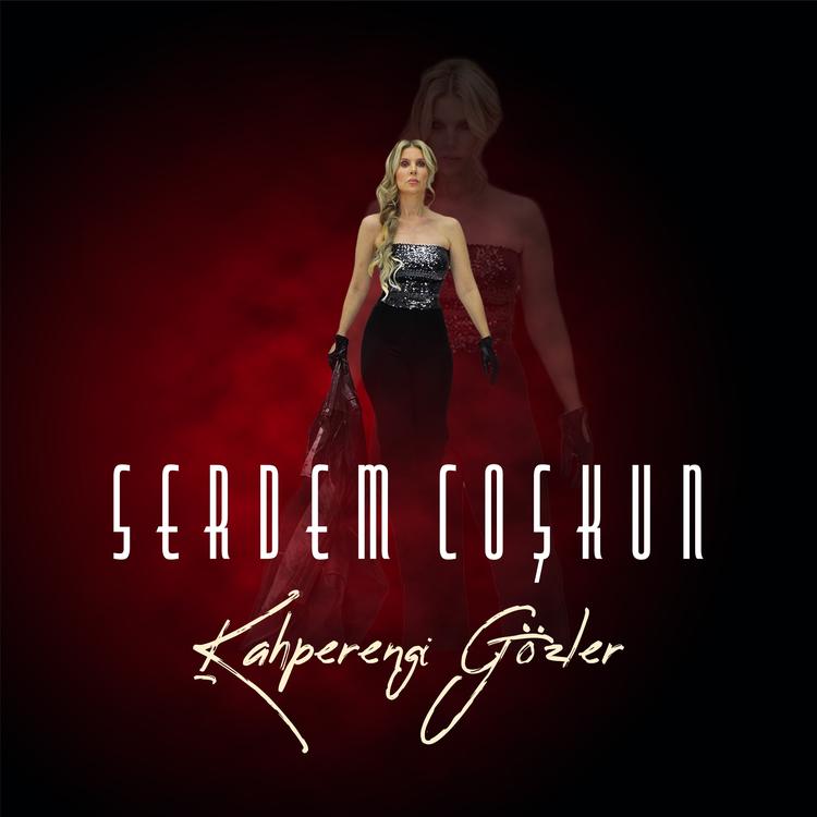 Serdem Coşkun's avatar image