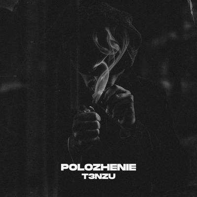 Polozhenie By T3NZU's cover