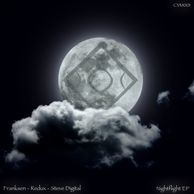Flight (Adam Schock Remix)'s cover