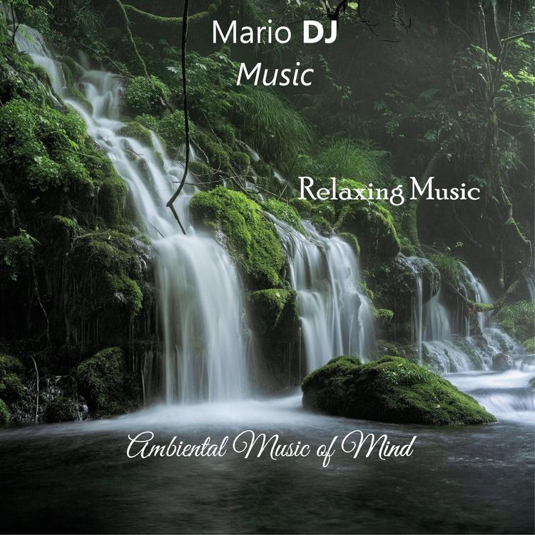 Mario DJ Music's avatar image