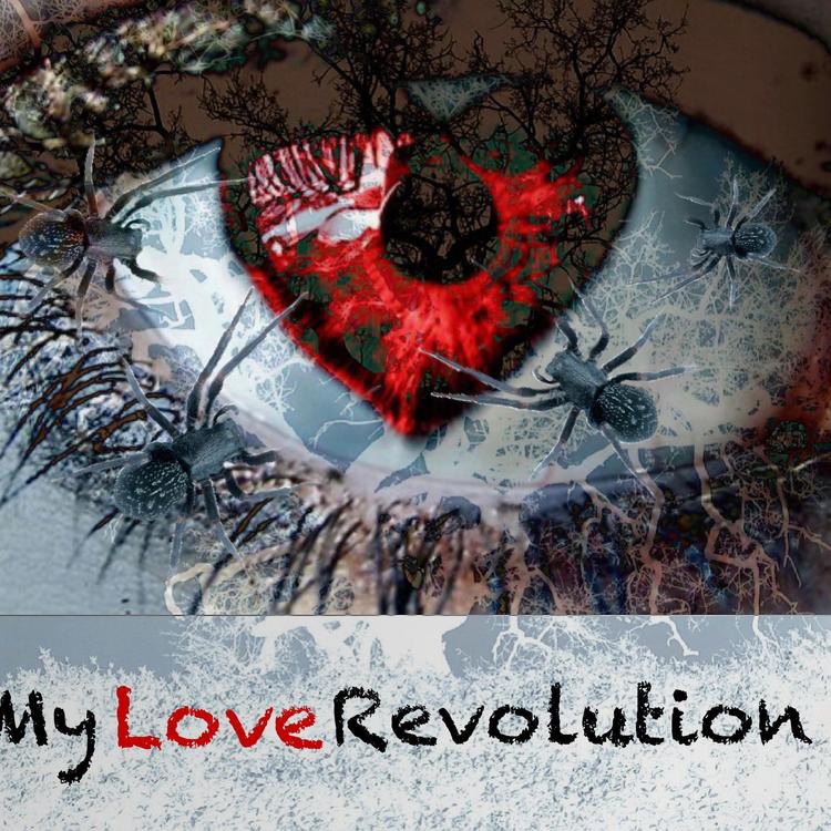 My Love Revolution's avatar image