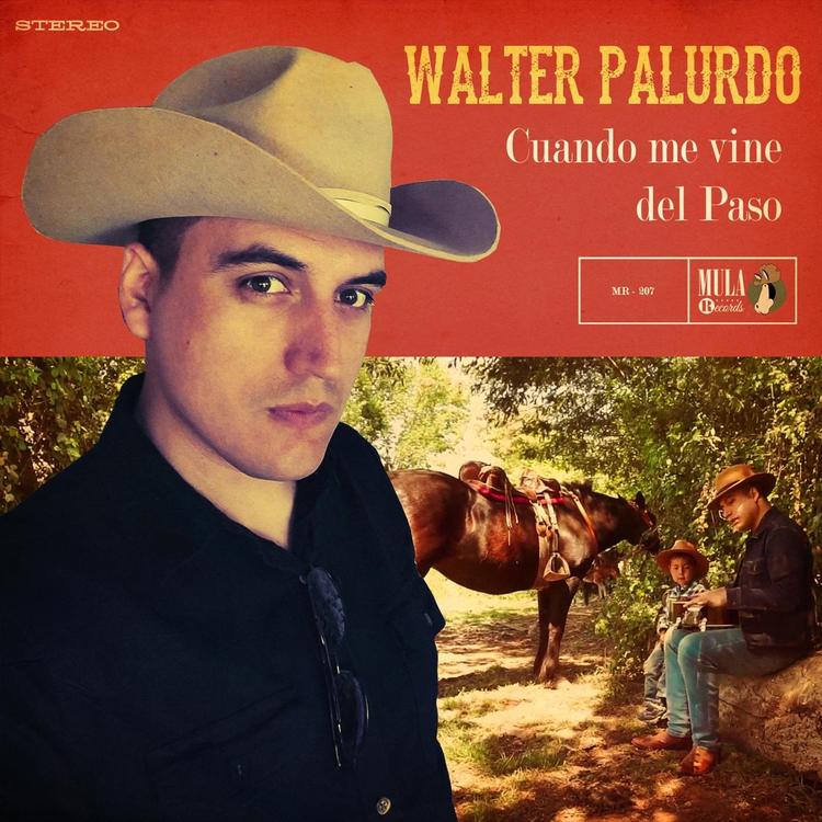 Walter Palurdo's avatar image