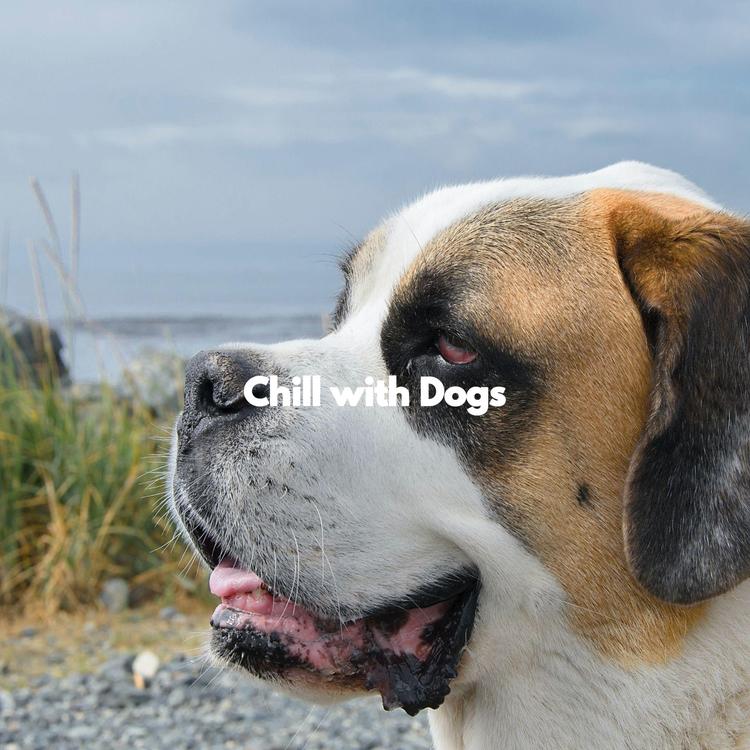 Music for Dogs Playlist's avatar image