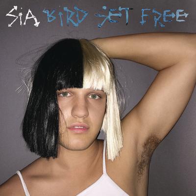 Bird Set Free By Sia's cover