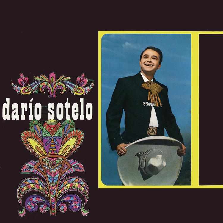 Dario Sotelo's avatar image