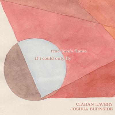 If I Could Only Fly By Ciaran Lavery, Joshua Burnside's cover