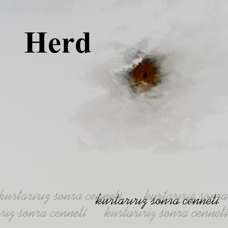 Herd's avatar image