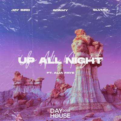 Up All Night (feat. Alia Faye) By Jay Bird, Roamy, Slvmm, Alia Faye's cover