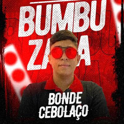 Bumbuzada's cover