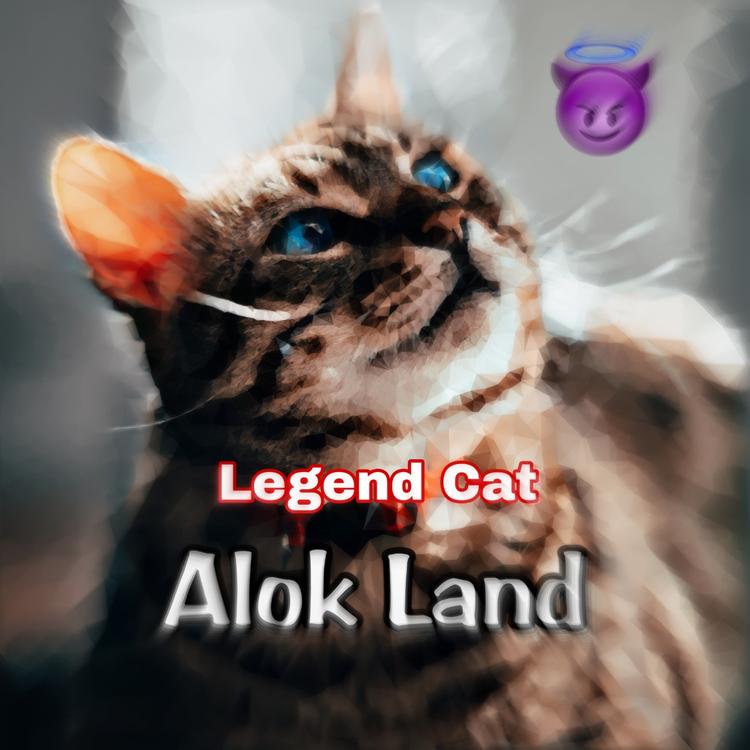 Alok Land's avatar image