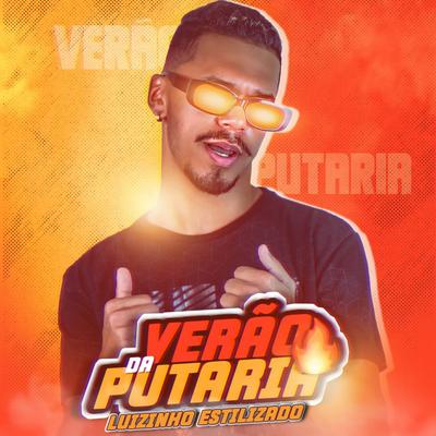 Verão da Puaria's cover