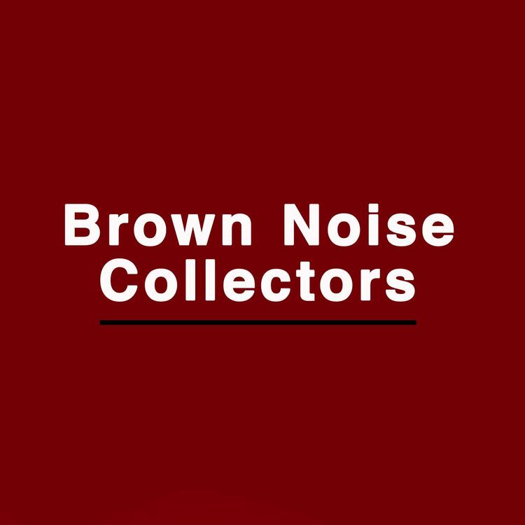 Brown Noise Collectors's avatar image