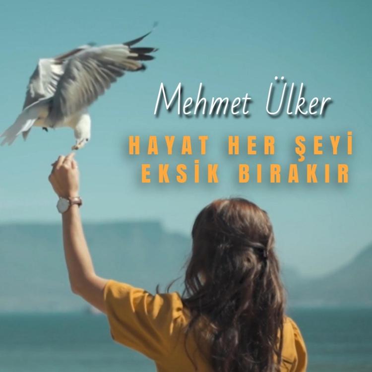 Mehmet Ülker's avatar image