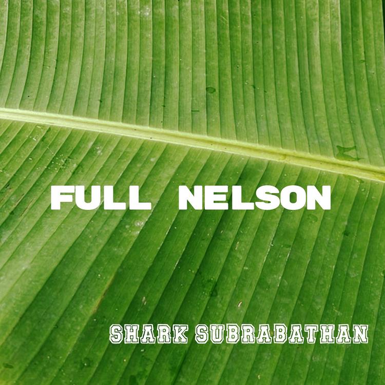 Shark Subrabathan's avatar image