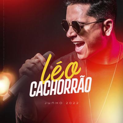 Áudio Que Te Entrega By Léo Cachorrão's cover