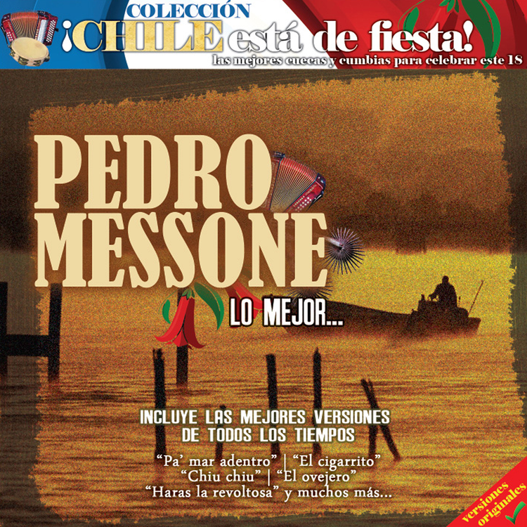 Pedro Messone's avatar image