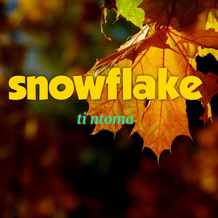 Snowflake's avatar image