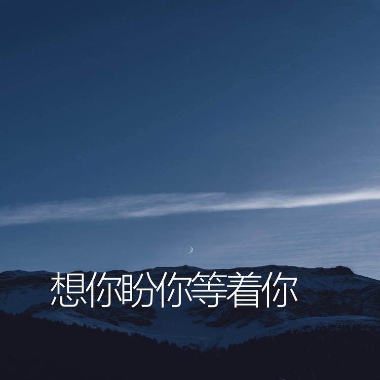 王傲's avatar image