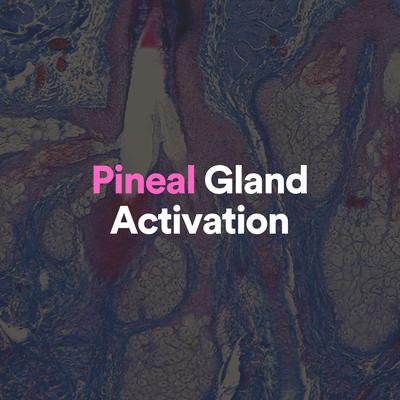 Pineal Gland Activation, Pt. 15's cover