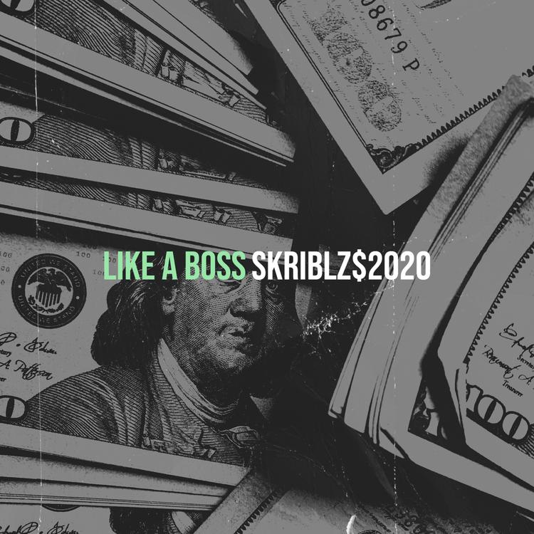 Skriblz$2020's avatar image
