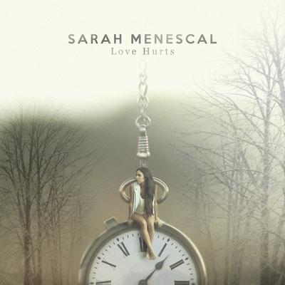 Love Hurts By Sarah Menescal's cover