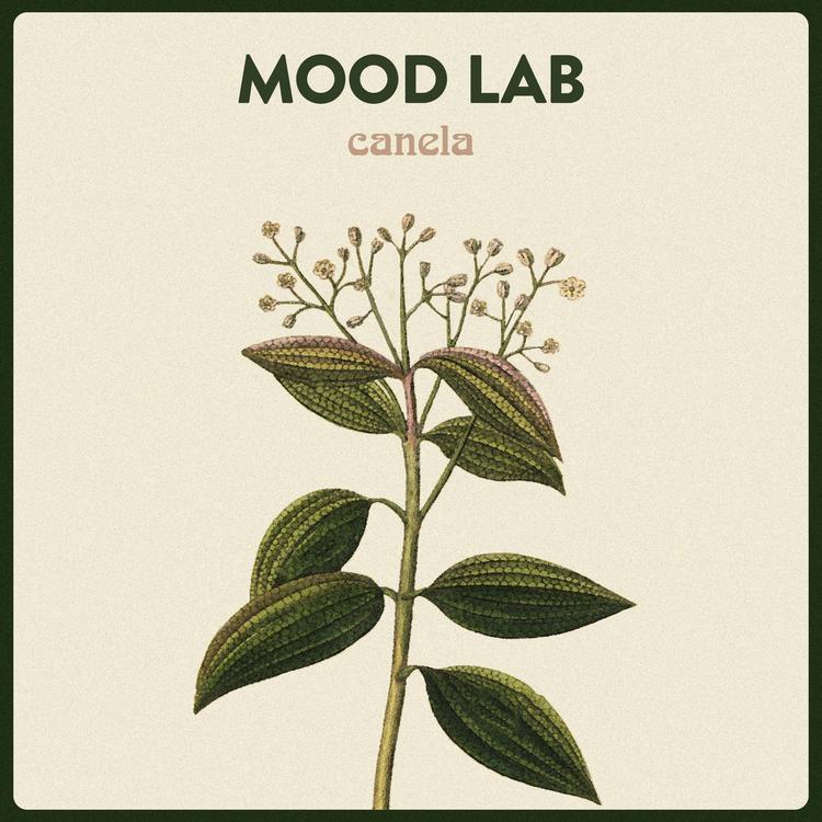 Mood Lab's avatar image