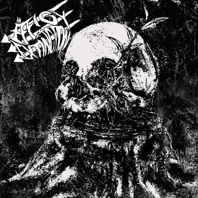 Malevolence Erased By An Effigy To Extinction's cover