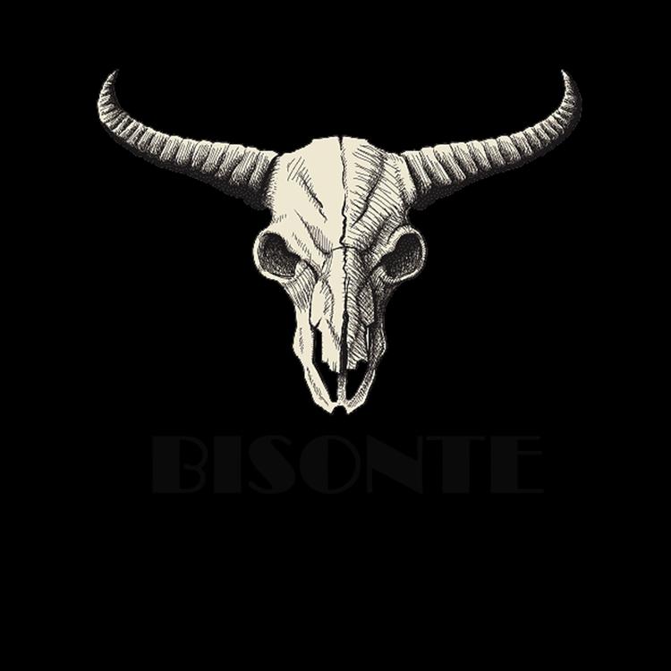 Bisonte's avatar image