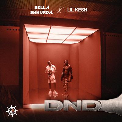 DND By Lil Kesh, Bella Shmurda's cover