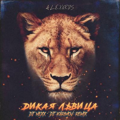Дикая Львица By DJ Mexx, DJ Karimov, ALEX&RUS's cover