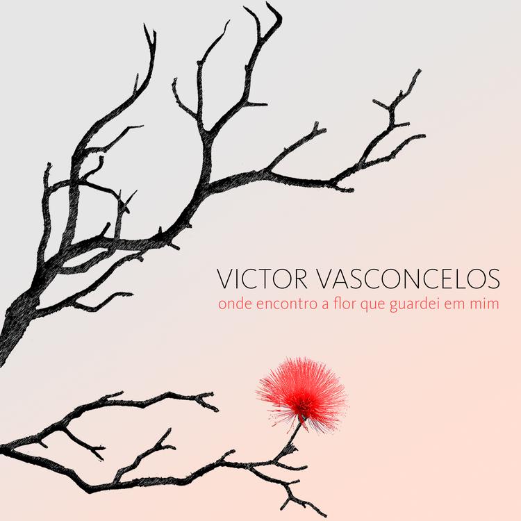 Victor Vasconcelos's avatar image