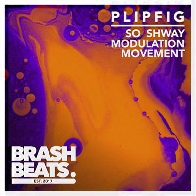 Modulation Movement By Plipfig's cover